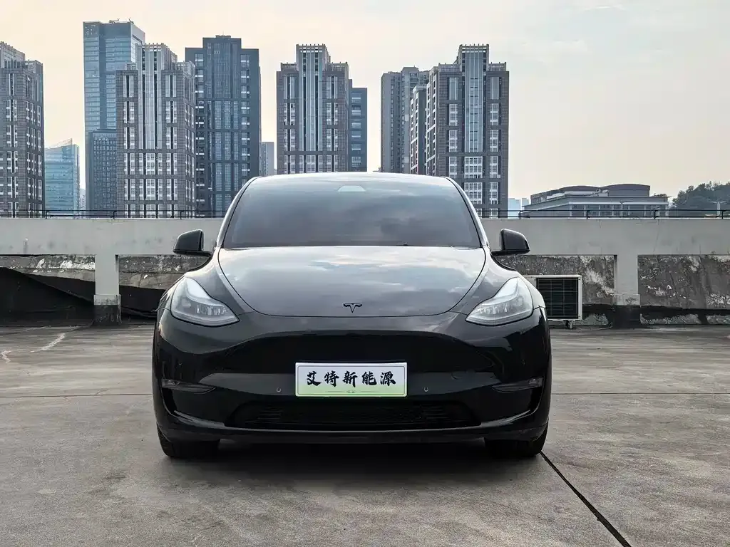 Tesla Model Y — фото 10