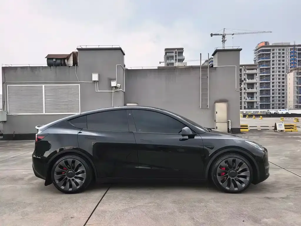 Tesla Model Y — фото 4