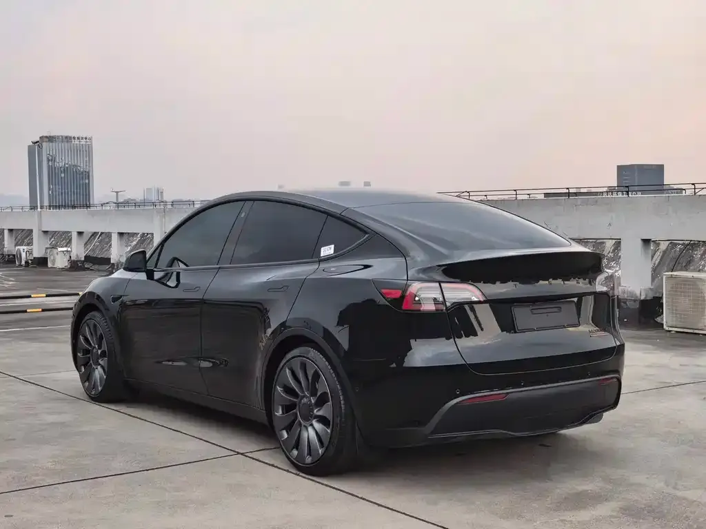 Tesla Model Y — фото 6