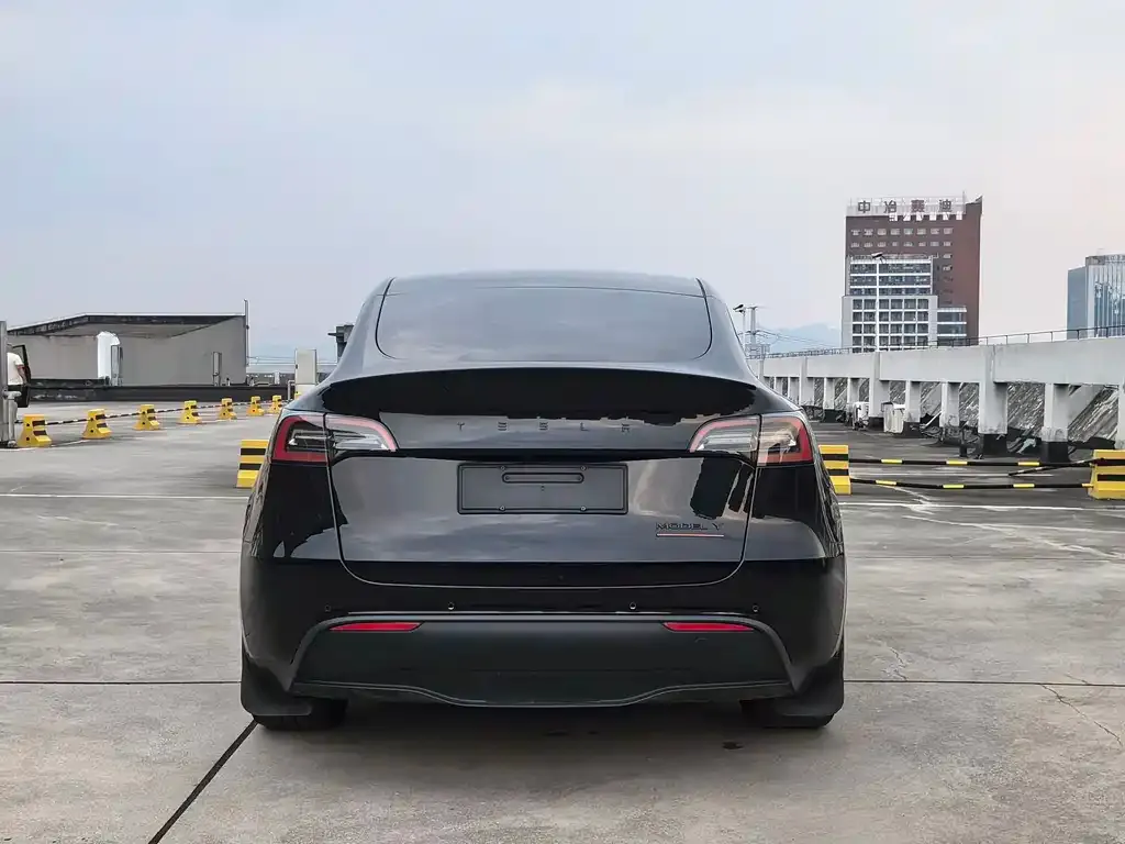 Tesla Model Y — фото 5