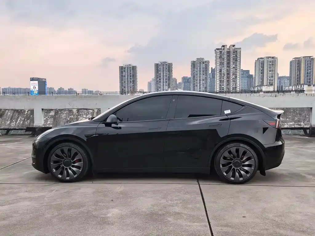 Tesla Model Y — фото 3