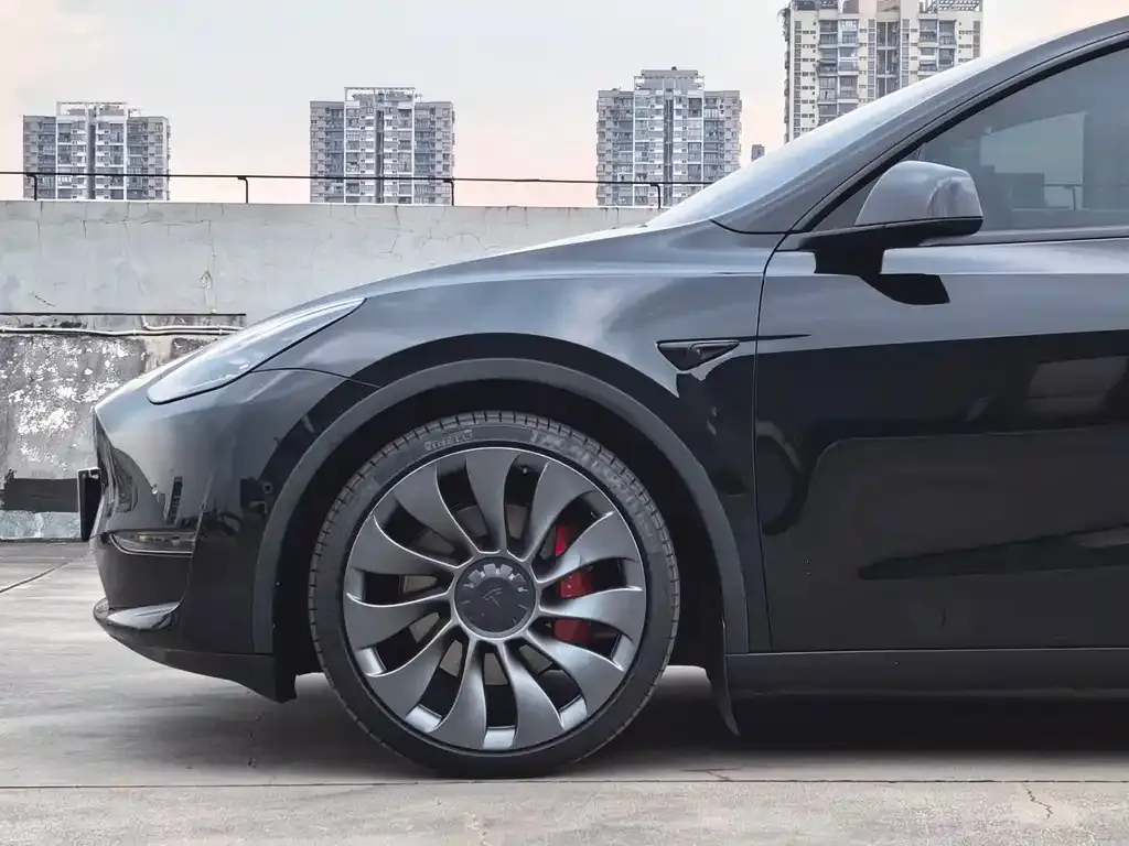 Tesla Model Y — фото 9