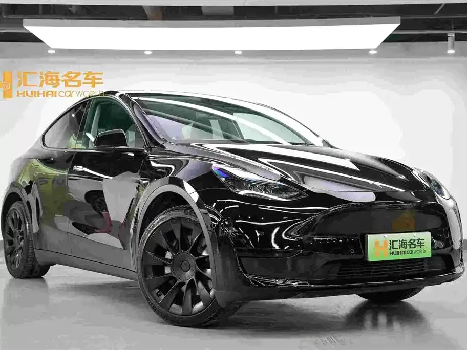 Tesla Model Y — фото 9