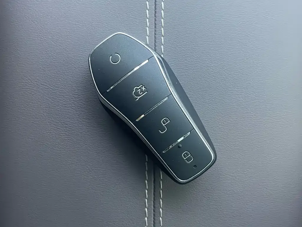 BYD PLUS New Energy — фото 5