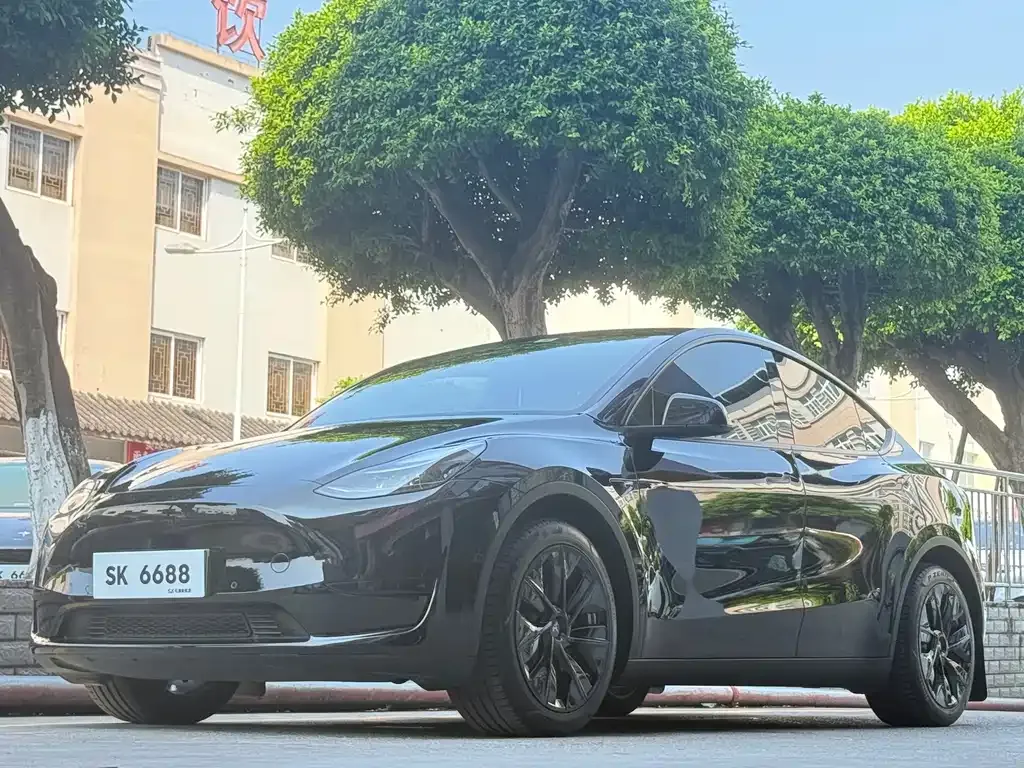 Tesla Model Y — фото 1