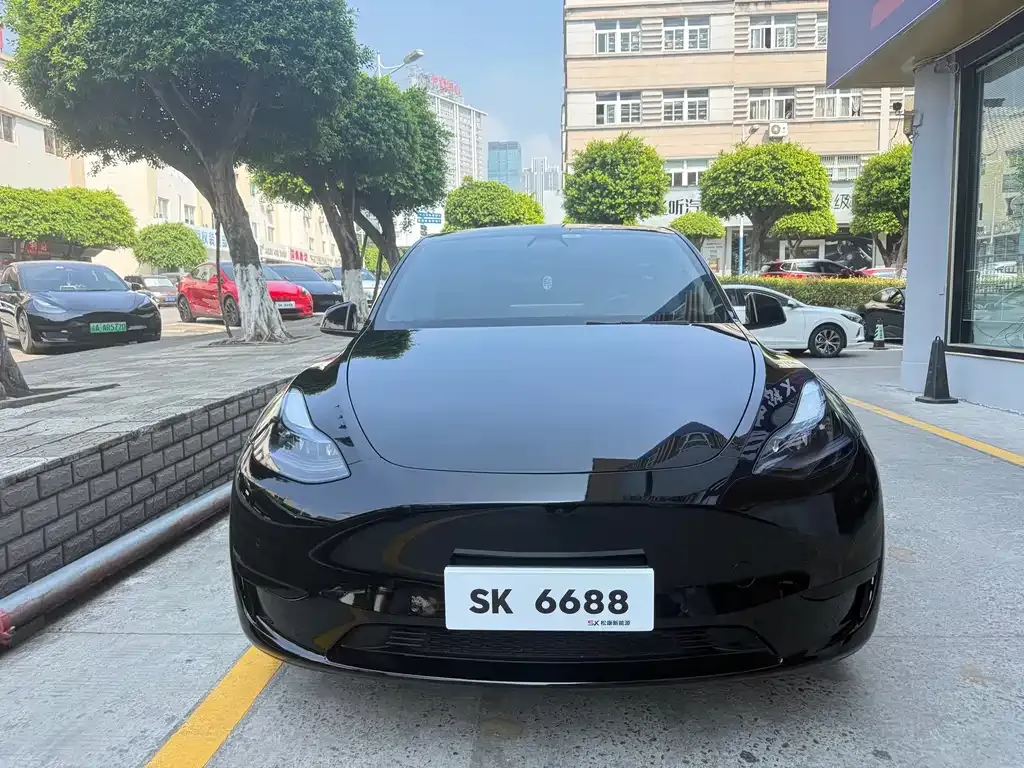 Tesla Model Y — фото 2