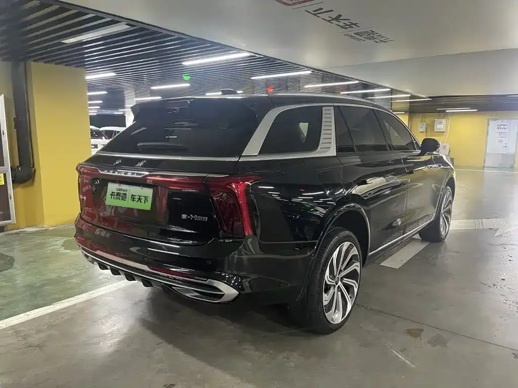 Hongqi E-HS9 — фото 10