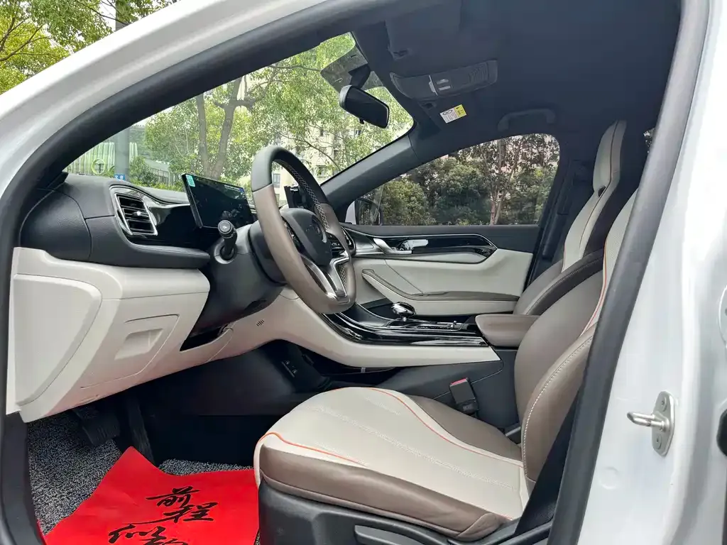 BYD Qin PLUS — фото 2