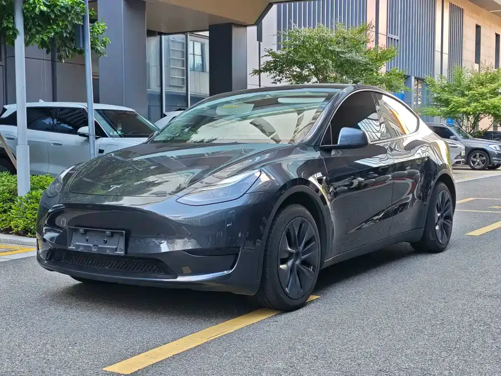 Tesla Model Y — фото 1