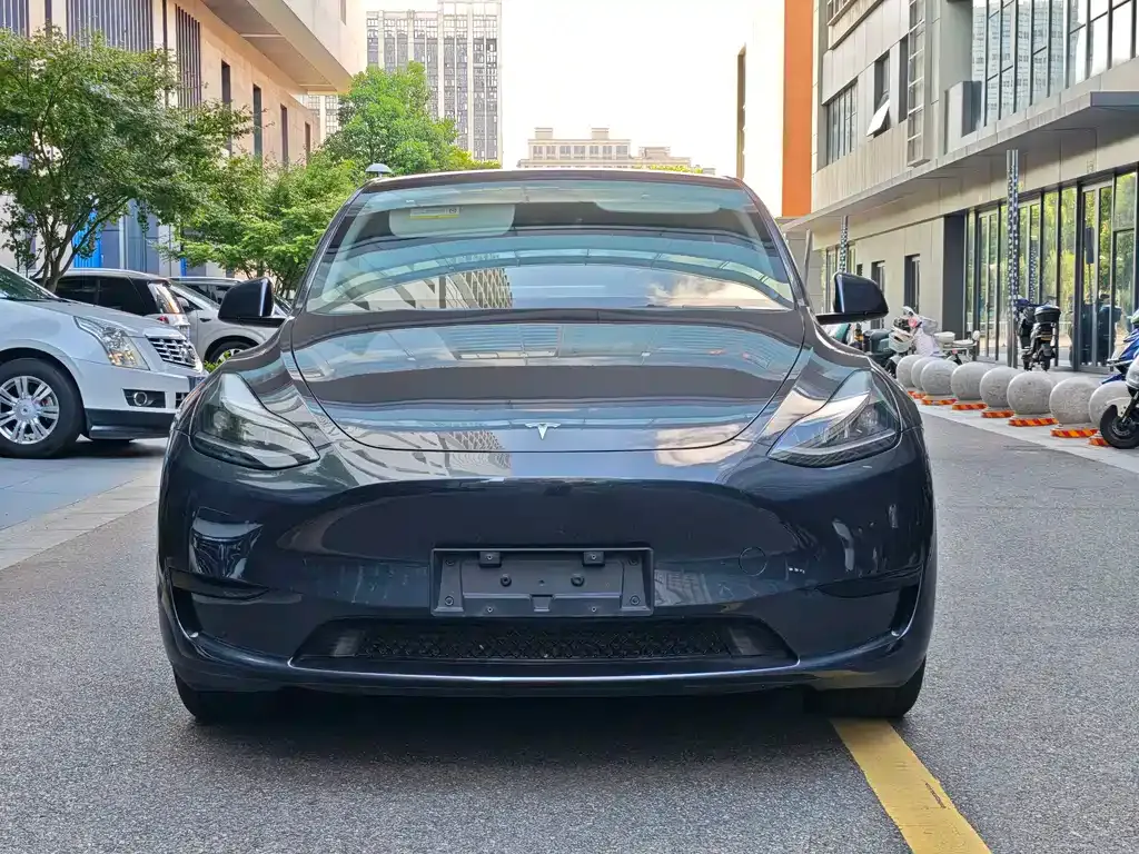 Tesla Model Y — фото 9