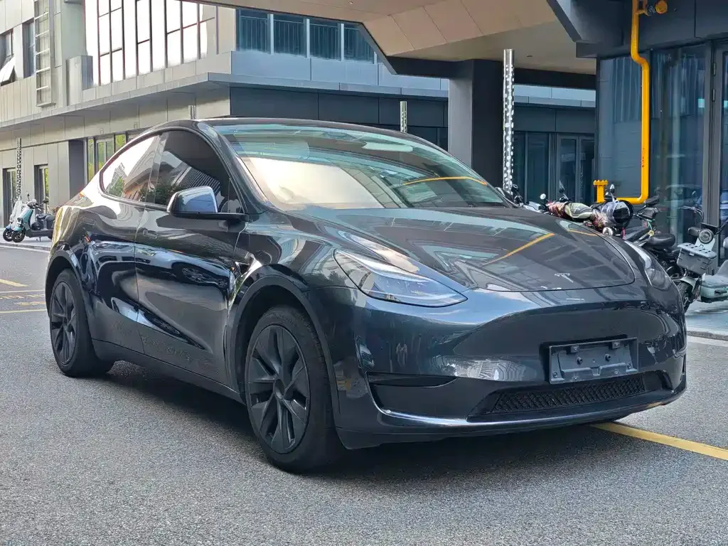 Tesla Model Y — фото 10