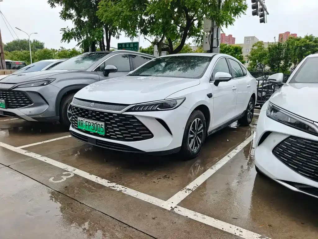 BYD Qin PLUS — фото 1