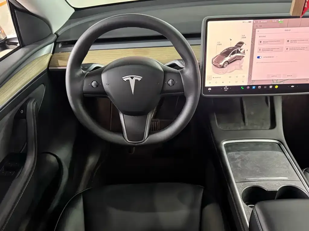 Tesla Model Y — фото 8