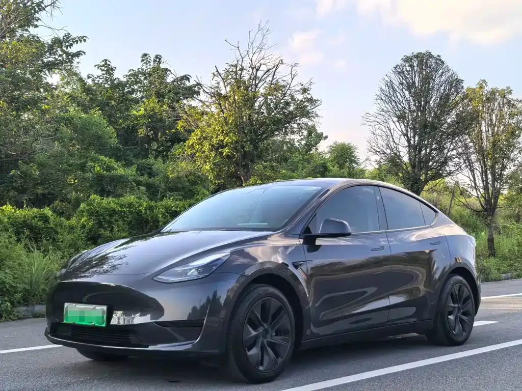 Tesla Model Y — фото 1