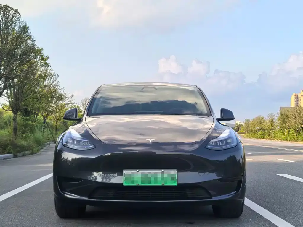 Tesla Model Y — фото 2