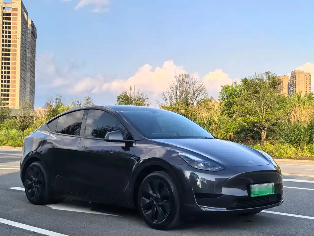 Tesla Model Y — фото 7