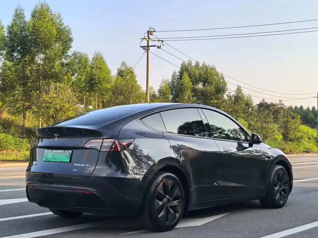 Tesla Model Y — фото 9