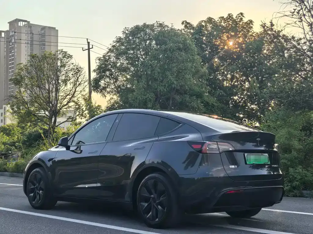 Tesla Model Y — фото 8