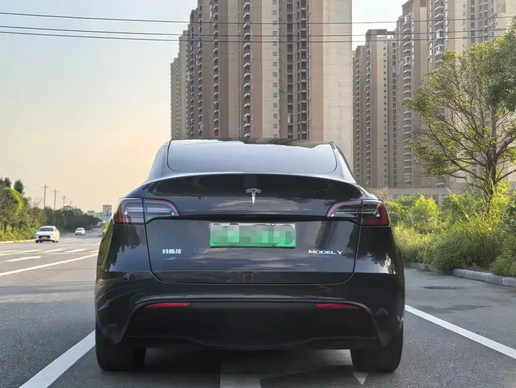 Tesla Model Y — фото 5