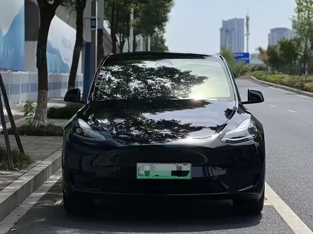 Tesla Model Y — фото 6