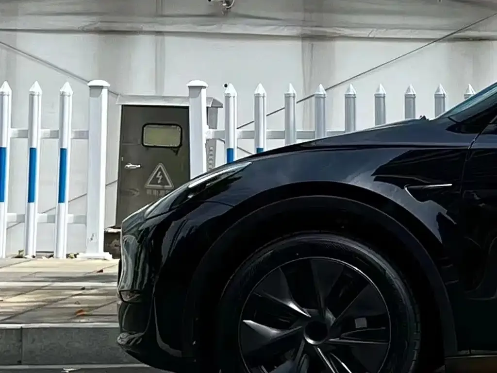 Tesla Model Y — фото 4