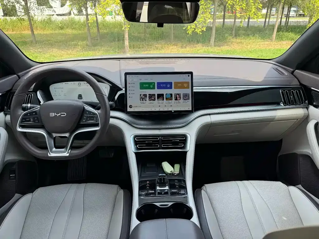 BYD PLUS New Energy — фото 2