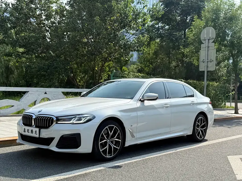 BMW 5 Series — фото 1