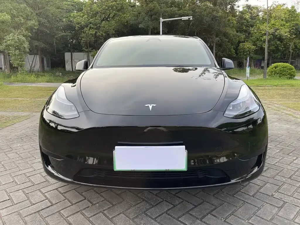 Tesla Model Y — фото 8