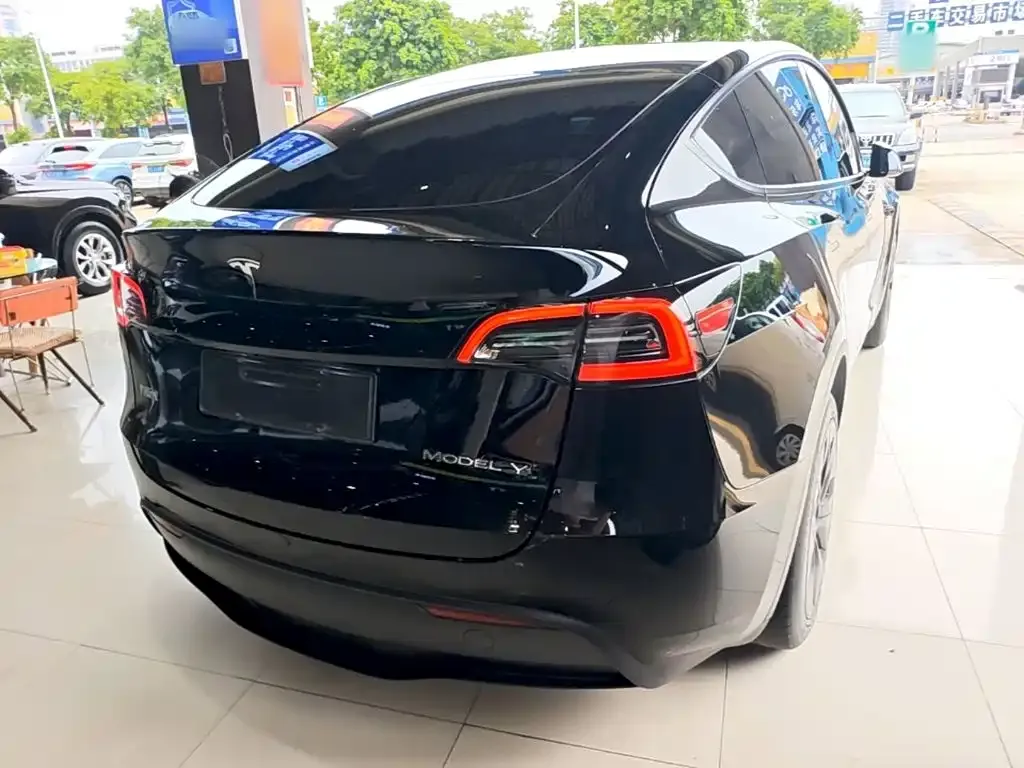 Tesla Model Y — фото 10