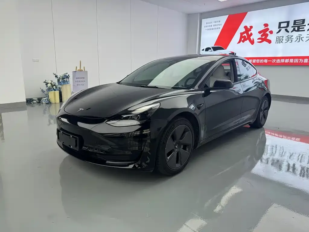 Tesla Model 3 — фото 1