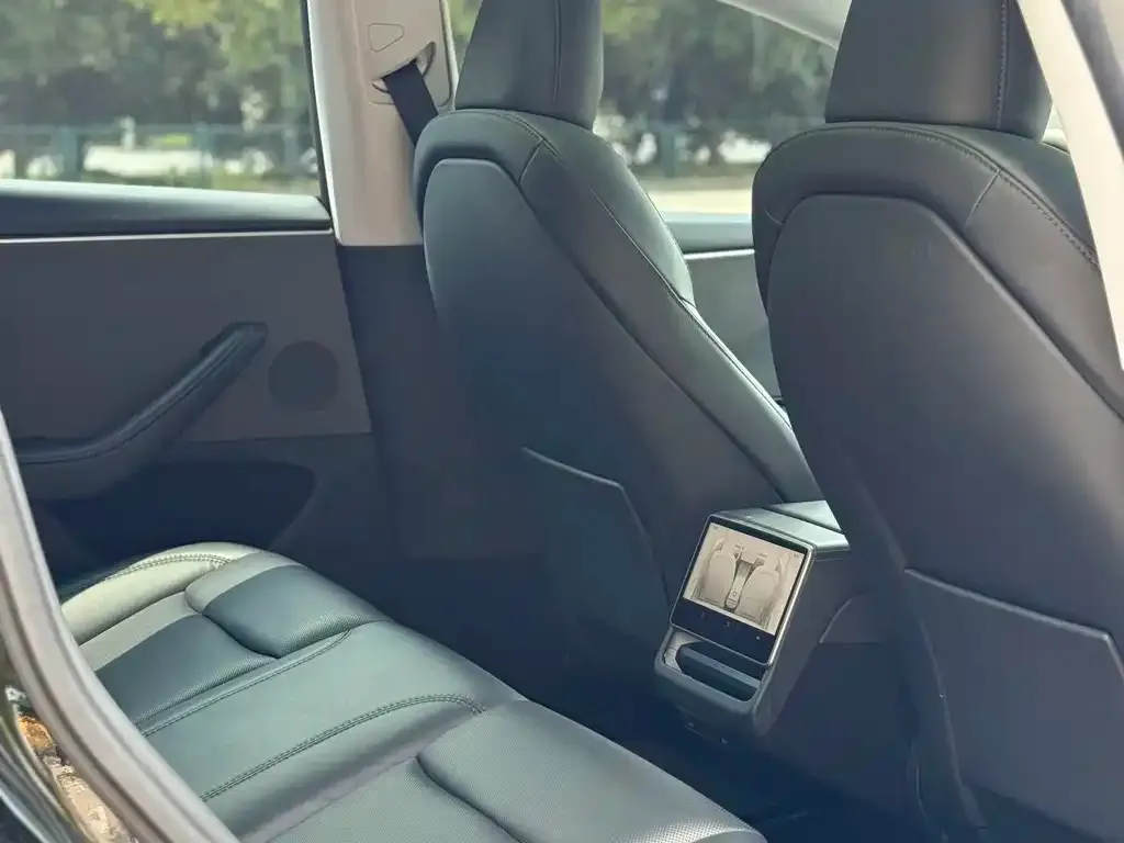 Tesla Model 3 — фото 2