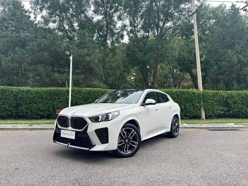 BMW X2 (Import) — фото 1