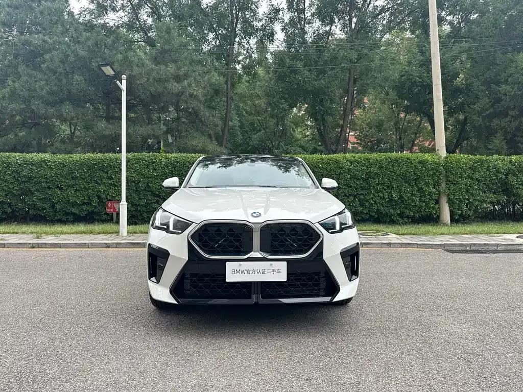 BMW X2 (Import) — фото 4