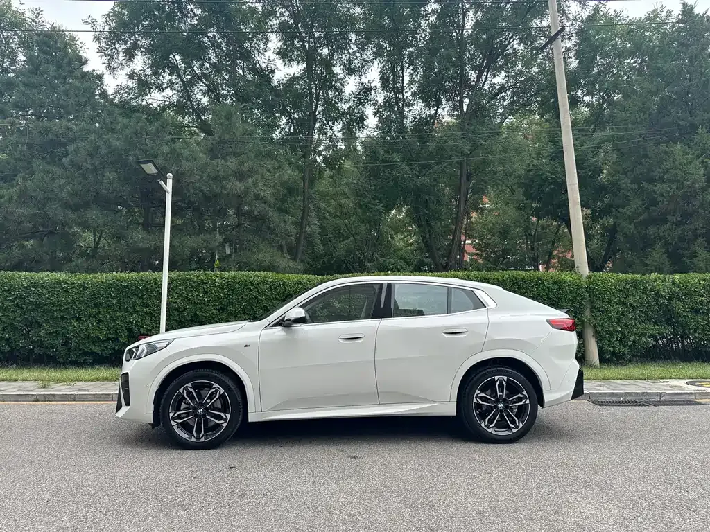 BMW X2 (Import) — фото 10