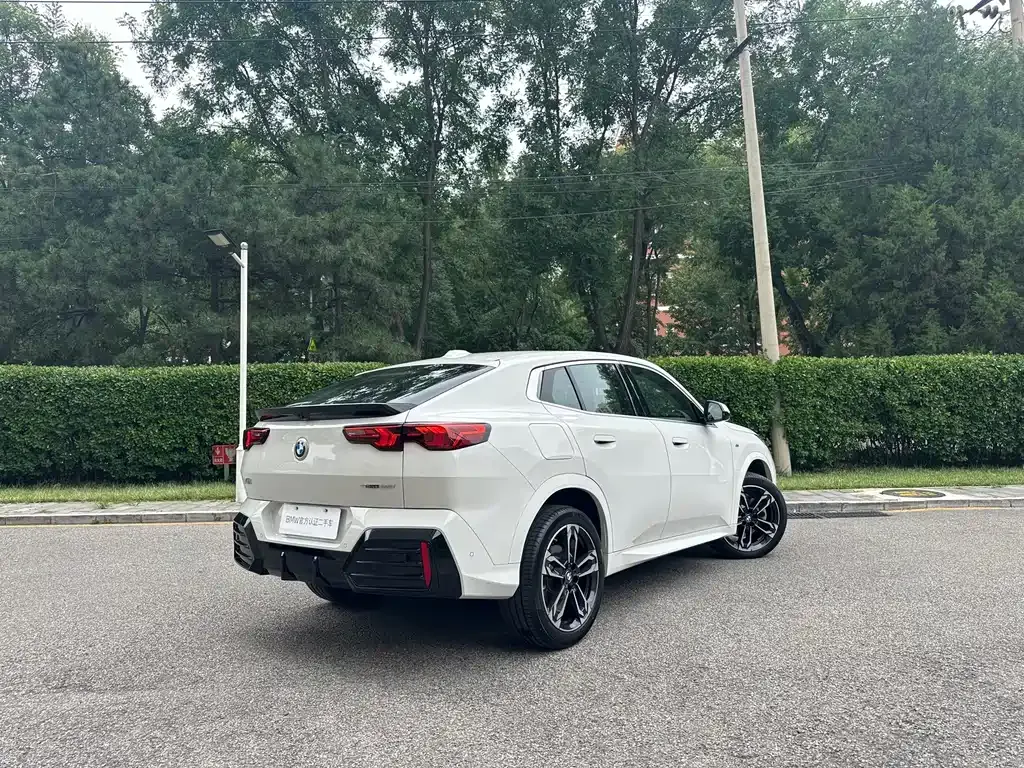 BMW X2 (Import) — фото 6