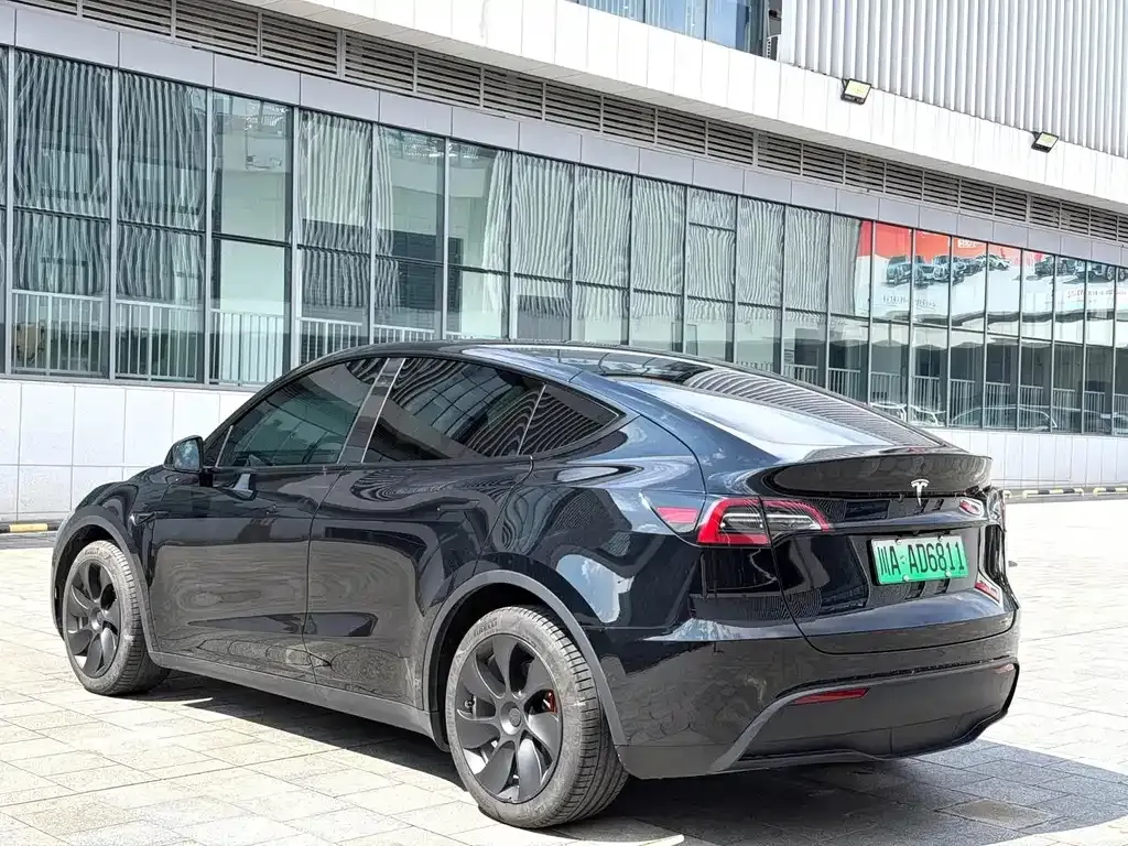 Tesla Model Y — фото 10