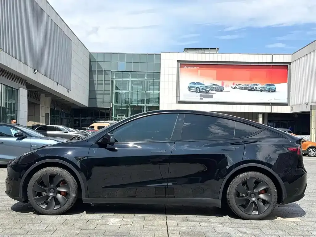 Tesla Model Y — фото 4