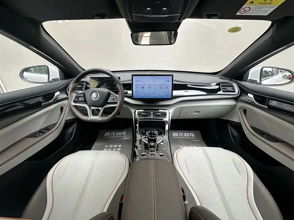 BYD Qin PLUS — фото 4