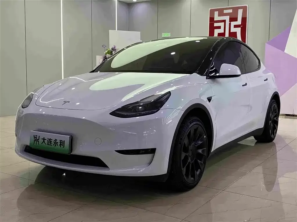 Tesla Model Y — фото 1