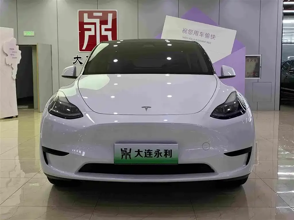 Tesla Model Y — фото 7
