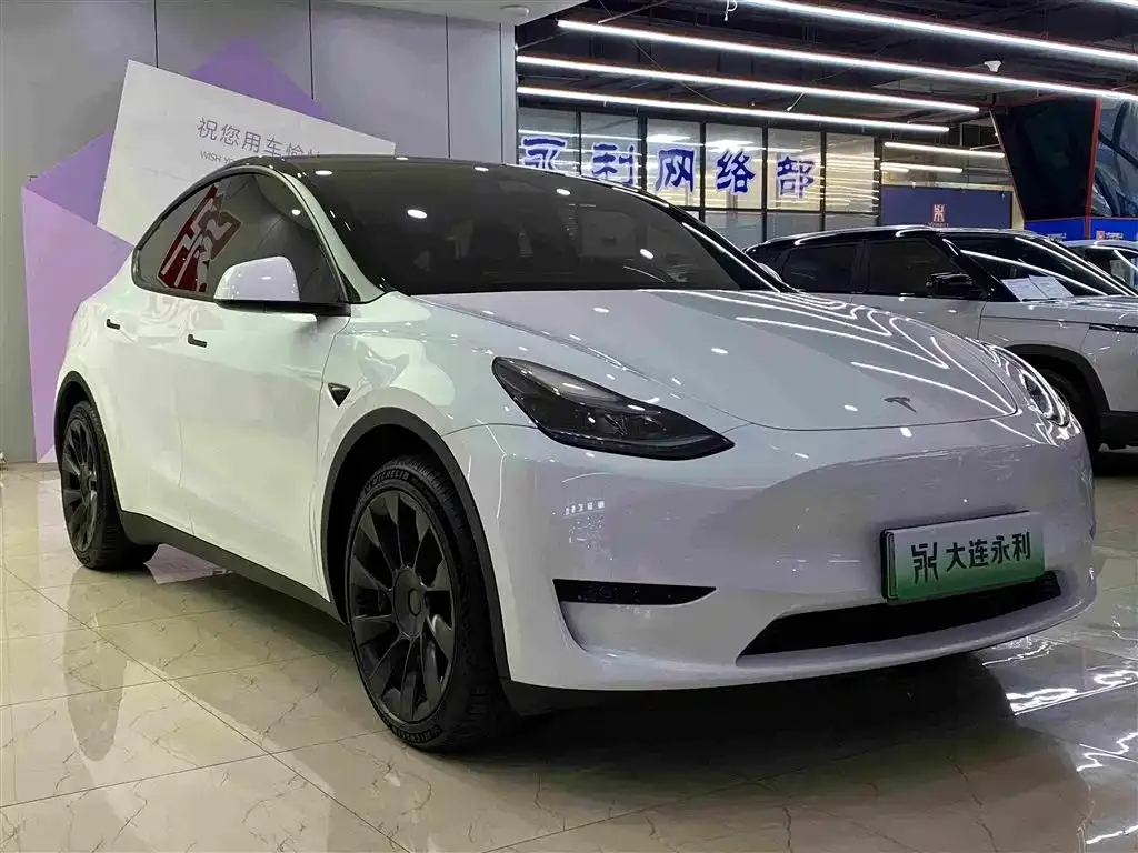 Tesla Model Y — фото 5