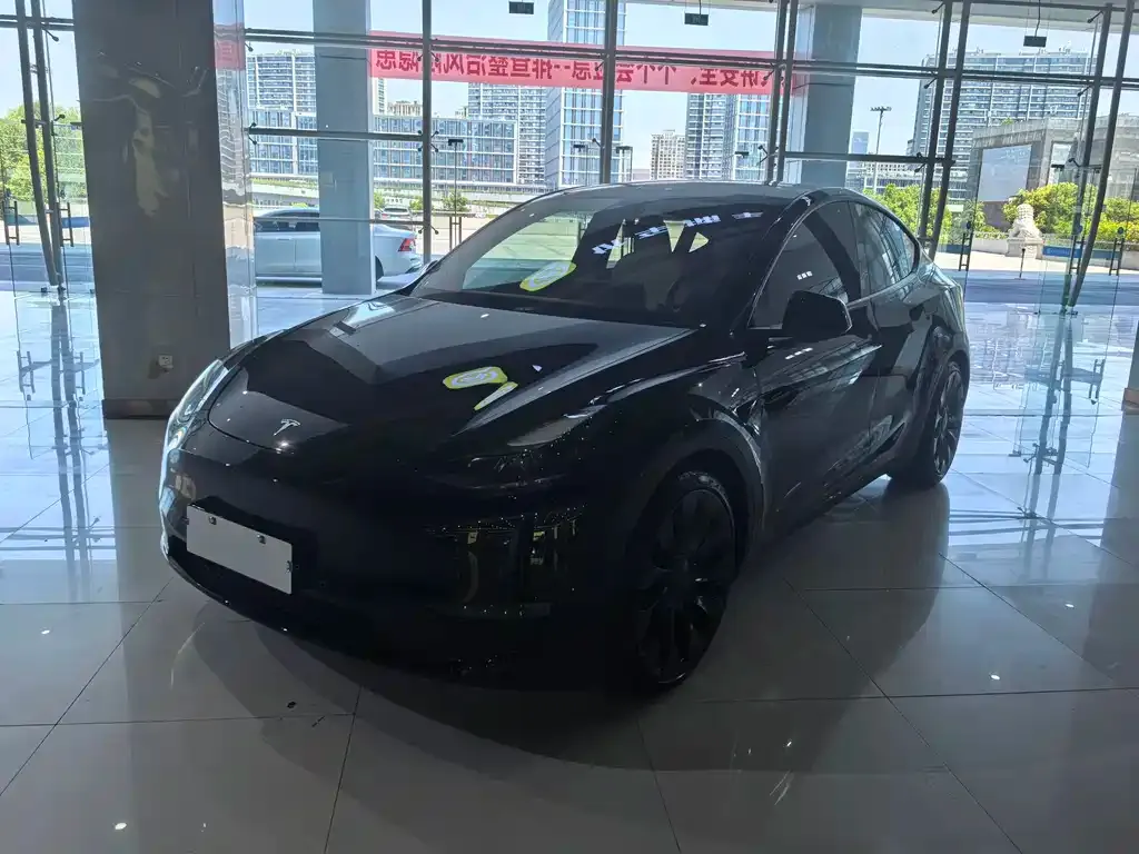 Tesla Model Y — фото 1