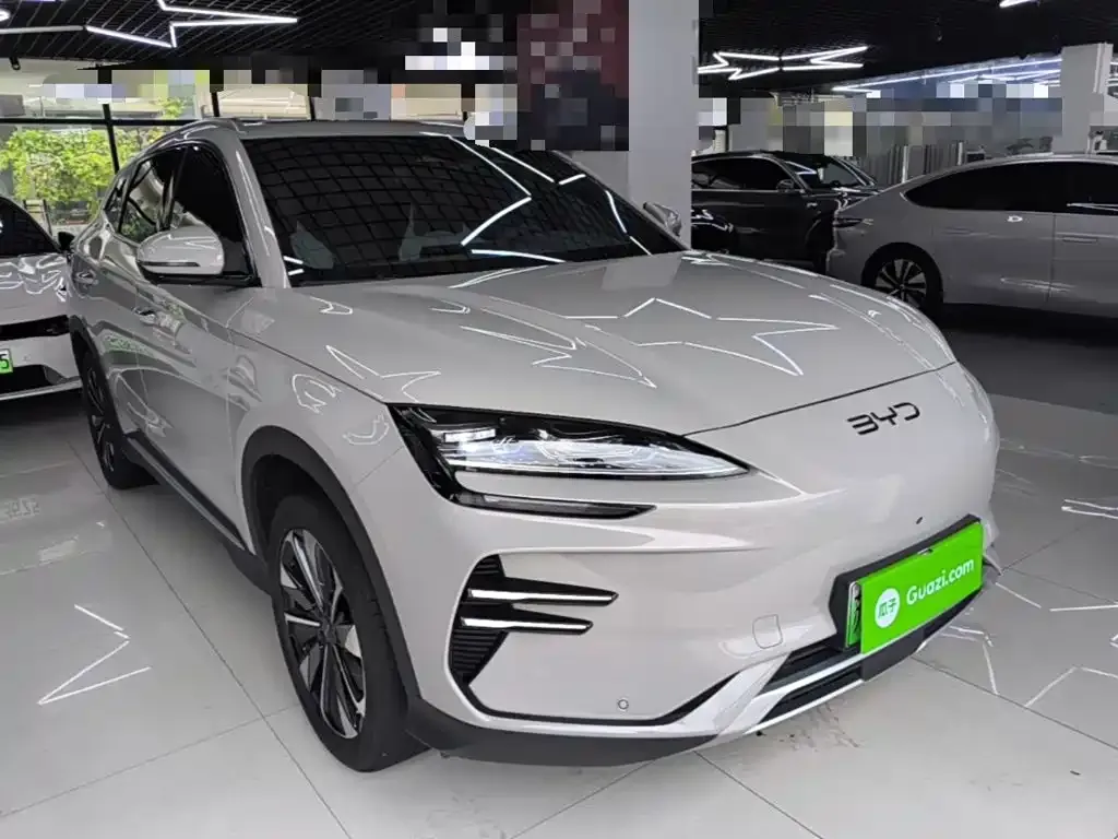 BYD PLUS New Energy — фото 4