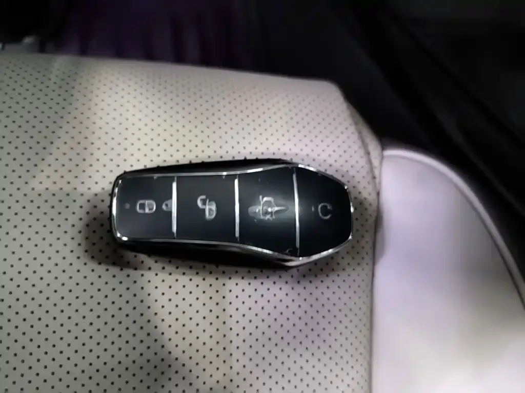 BYD PLUS New Energy — фото 2