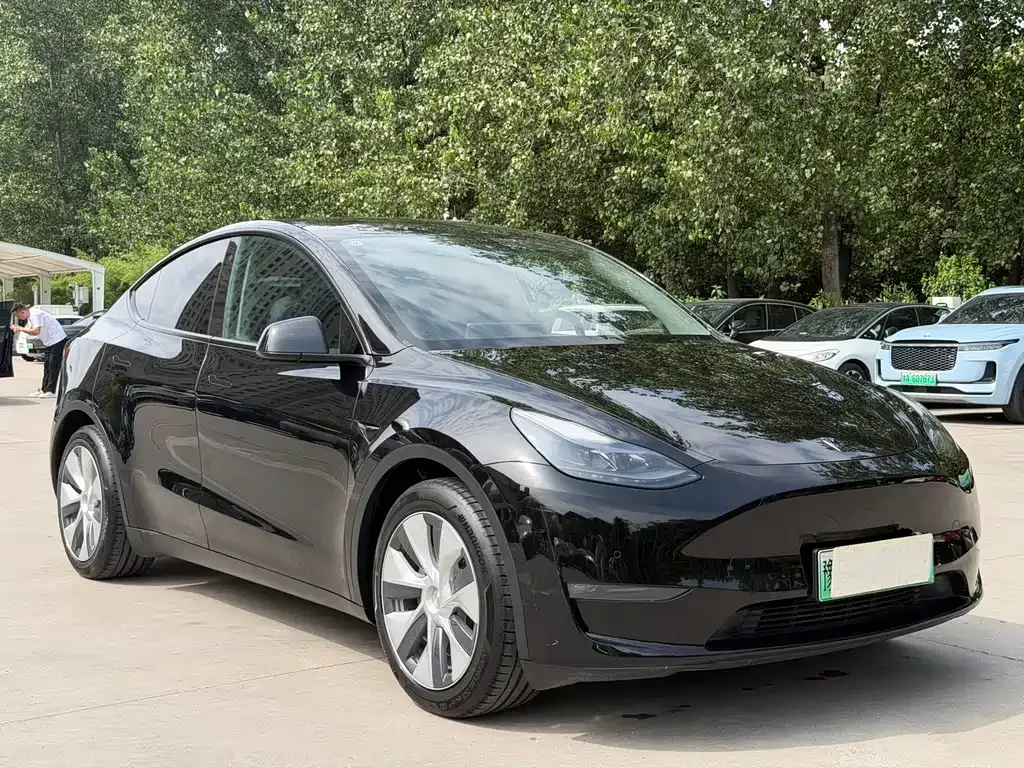 Tesla Model Y — фото 2