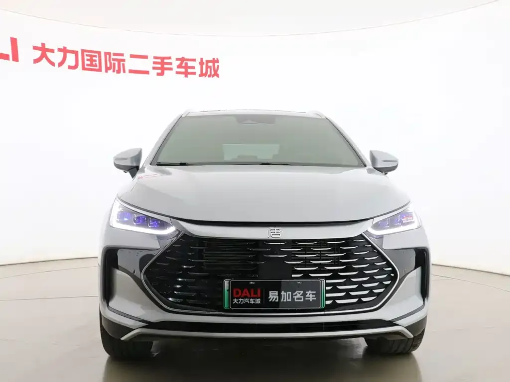BYD Tang New Energy — фото 3