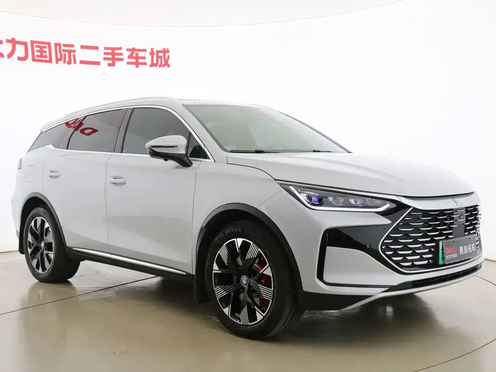 BYD Tang New Energy — фото 8