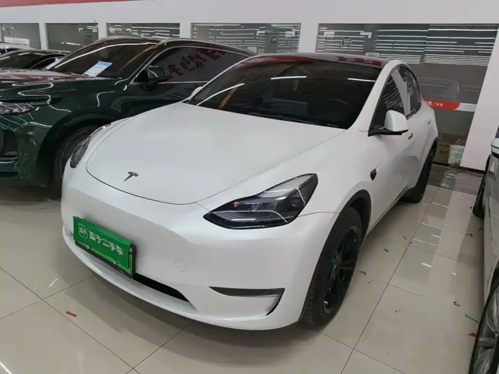 Tesla Model Y — фото 1
