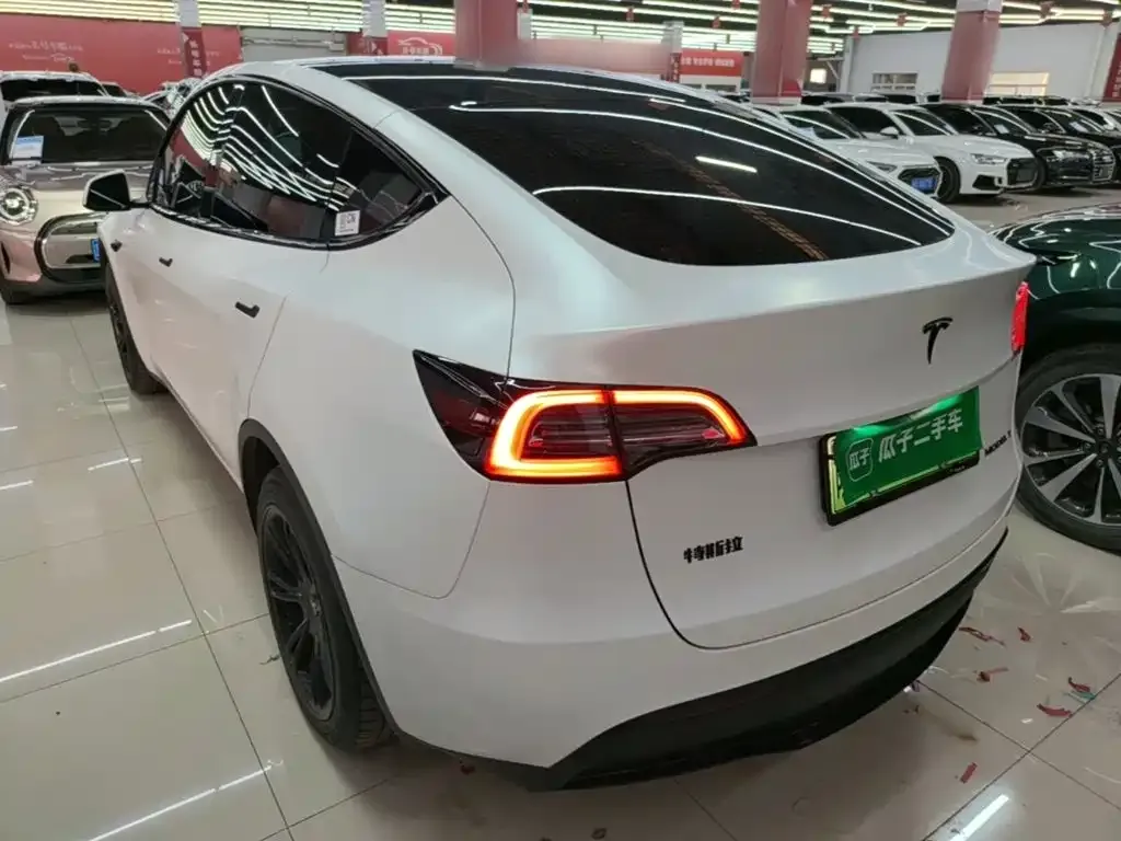 Tesla Model Y — фото 8