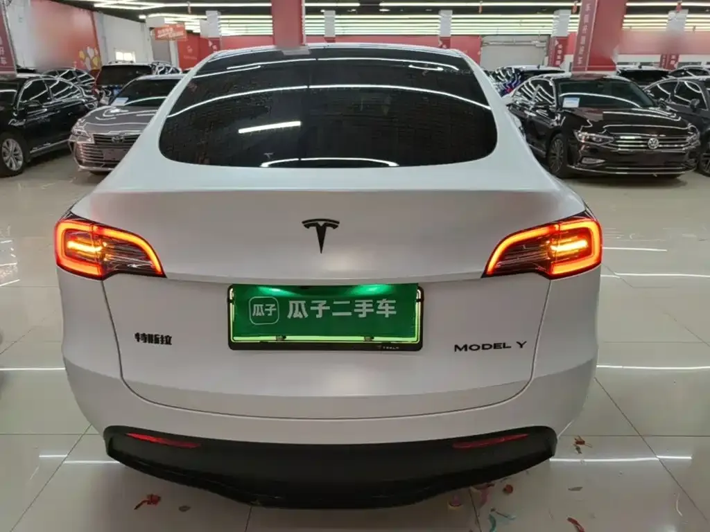 Tesla Model Y — фото 10